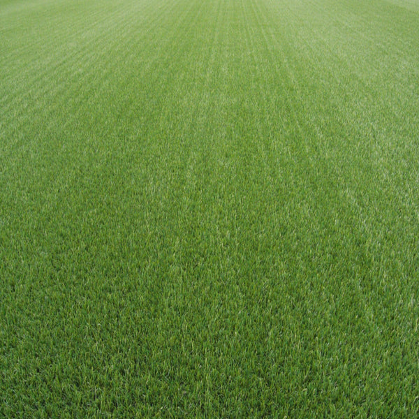 33oz - 2.25 Inch - XM Monofilament Turf